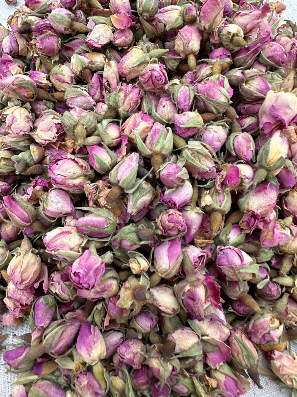 Sparta Rosebuds