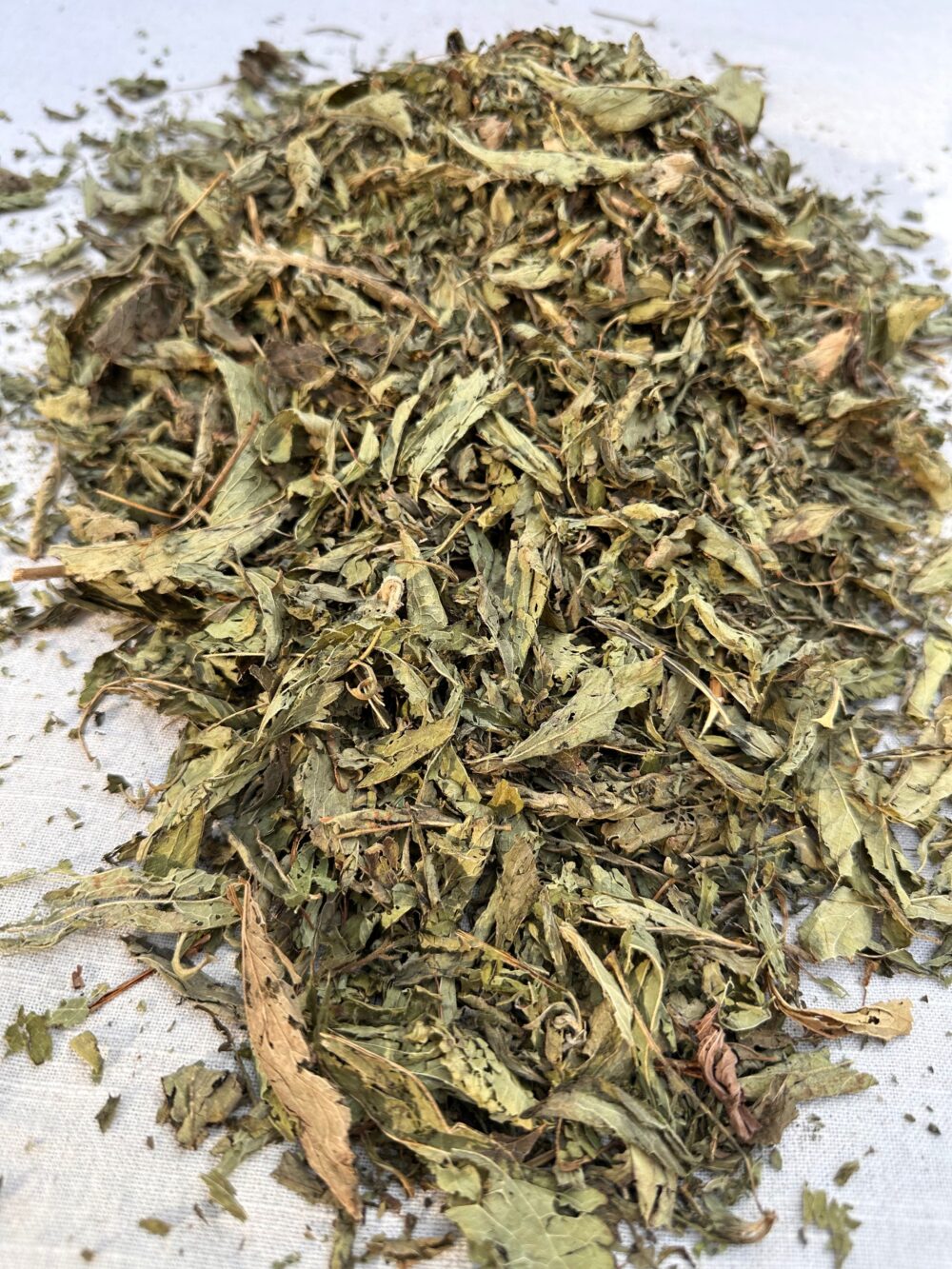 Stevia Leaves - Image 4