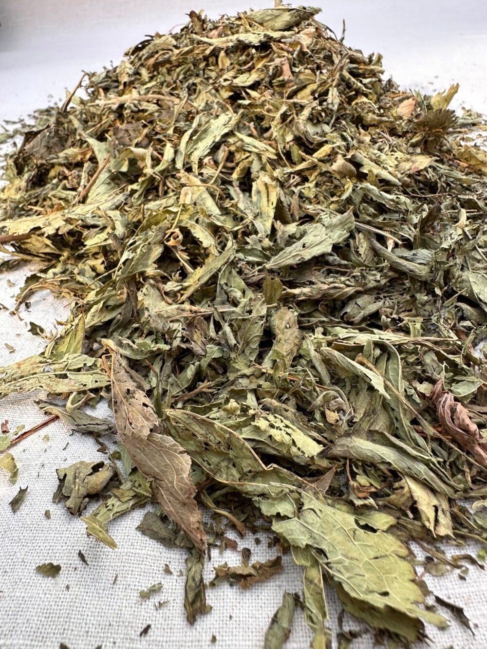 Stevia Leaves tea in uk Organic Fresh Stevia Leaf stevia leaves in tea