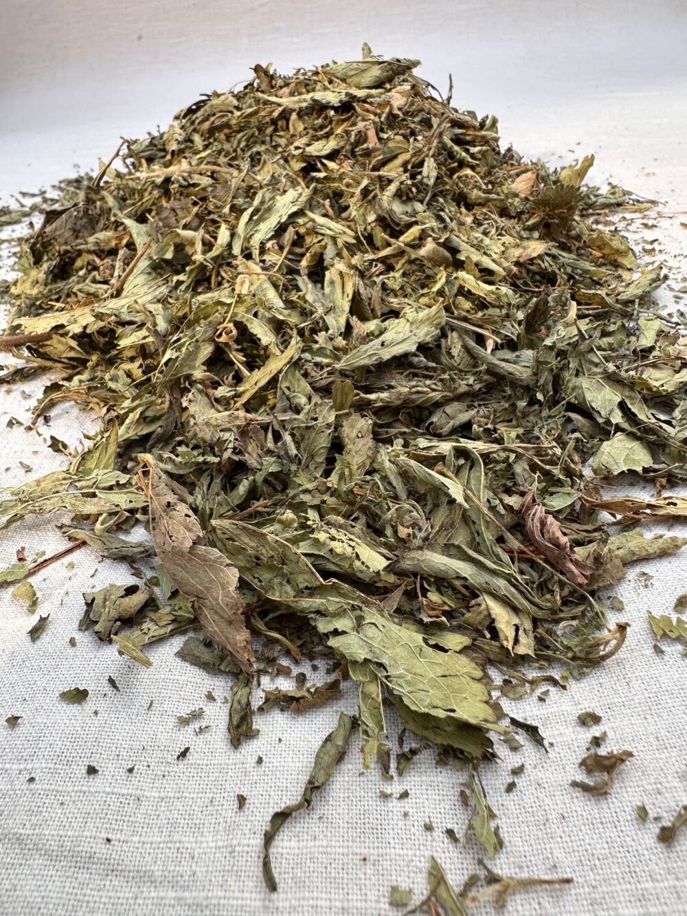 Stevia Leaves tea in uk